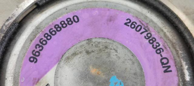 9636868880 Peugeot/Citroen