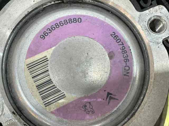 9636868880 Peugeot/Citroen