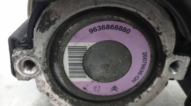 9636868880 Peugeot/Citroen