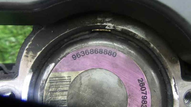 9636868880 Peugeot/Citroen