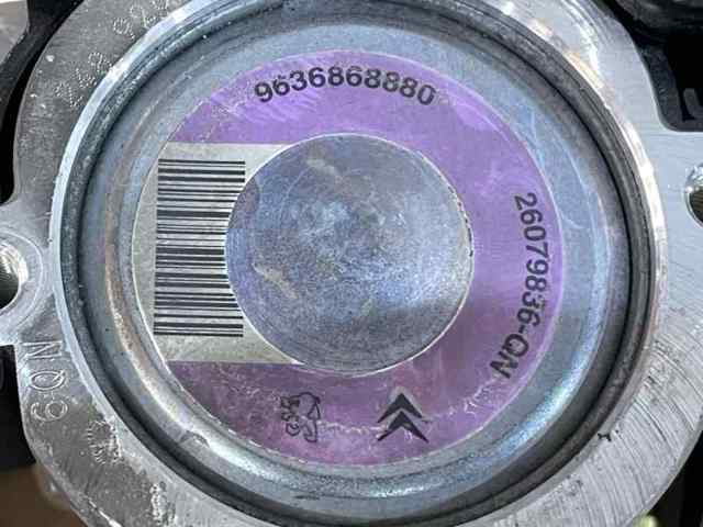 9636868880 Peugeot/Citroen