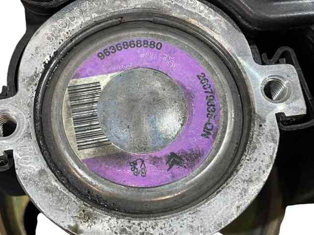 9636868880 Peugeot/Citroen