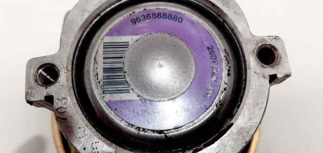 9636868880 Peugeot/Citroen