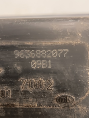 9636882077 Peugeot/Citroen