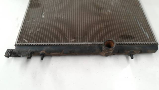 9637040680 Peugeot/Citroen