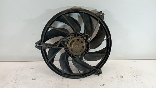 9637193980 Peugeot/Citroen