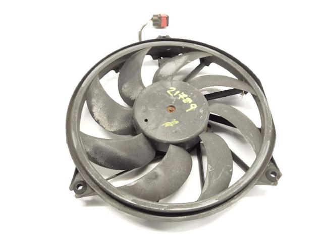9637193980 Peugeot/Citroen