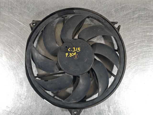 9637193980 Peugeot/Citroen