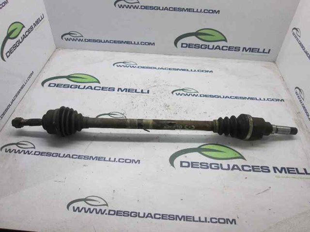 9638016480 Peugeot/Citroen