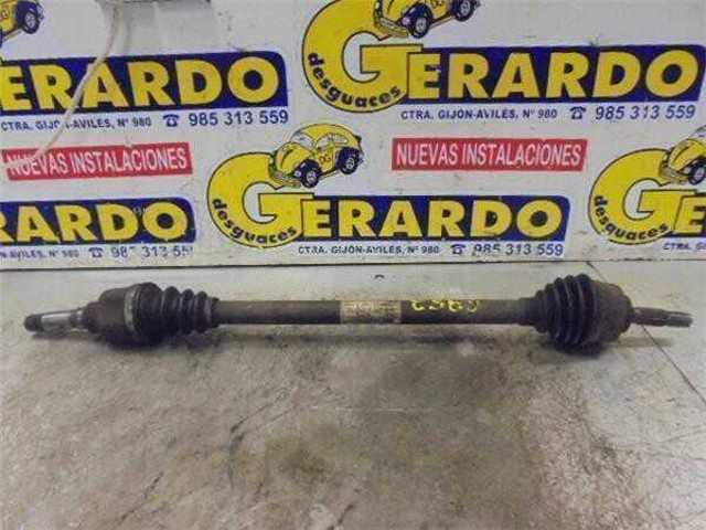9638226380 Peugeot/Citroen