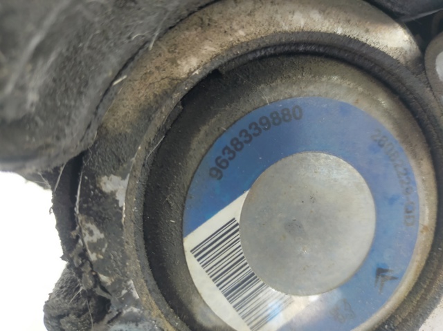 9638339880 Peugeot/Citroen