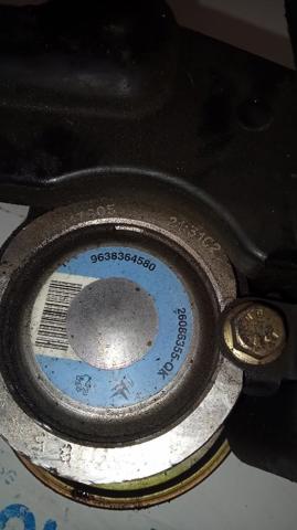 9638364580 Peugeot/Citroen