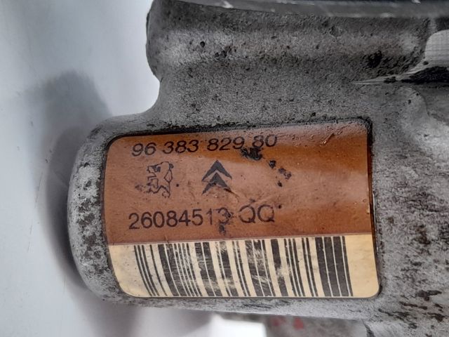 9638382980 Peugeot/Citroen