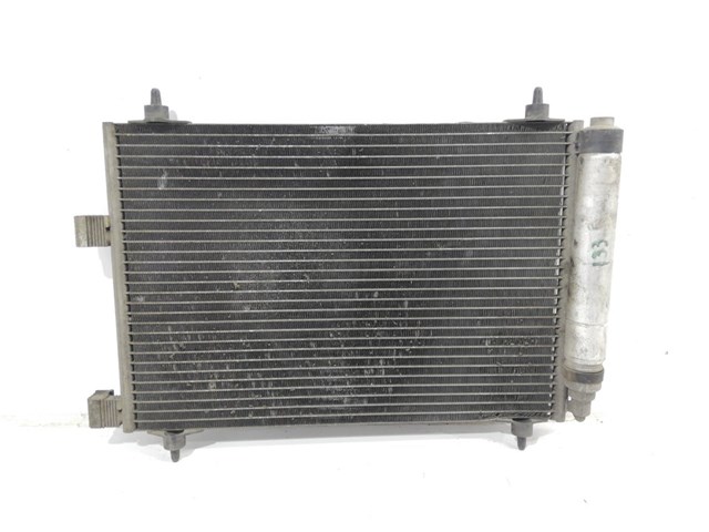 9638420280 Peugeot/Citroen