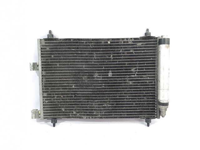 9638420280 Peugeot/Citroen