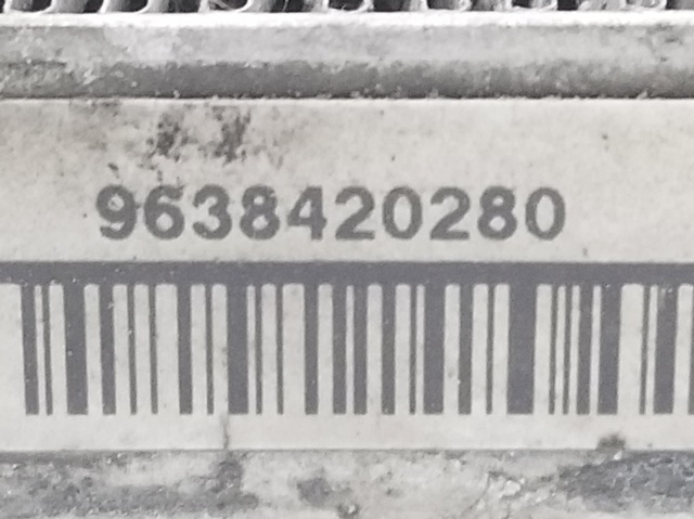 9638420280 Peugeot/Citroen