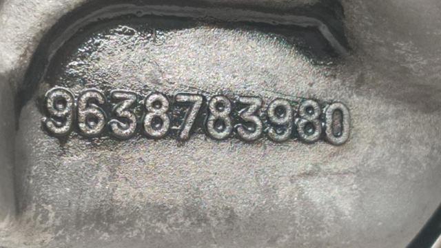 9638783980 Peugeot/Citroen