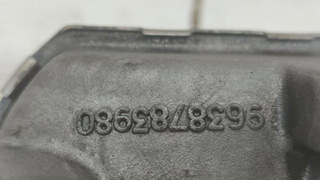 9638783980 Peugeot/Citroen