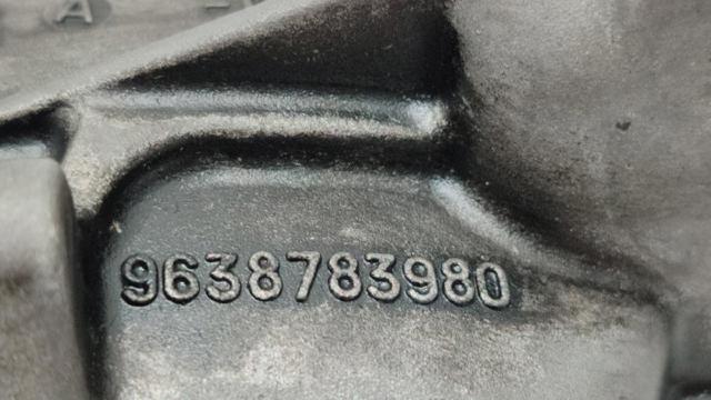 9638783980 Peugeot/Citroen