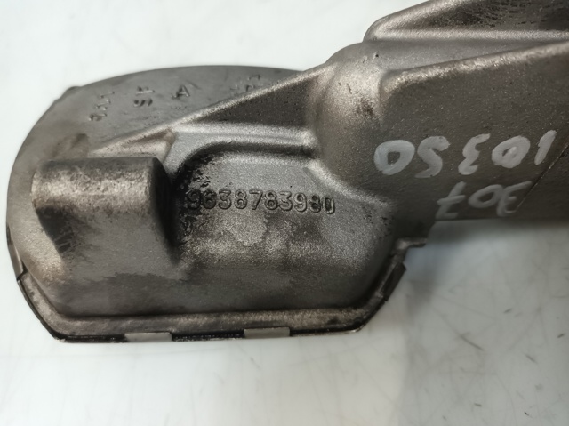 9638783980 Peugeot/Citroen