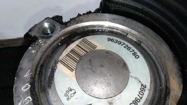 9639726780 Peugeot/Citroen