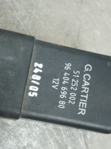 9640469680 Peugeot/Citroen