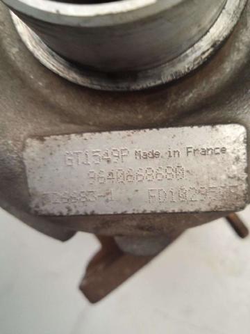 9640668680 Peugeot/Citroen