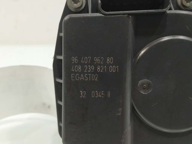 9640796280 Peugeot/Citroen