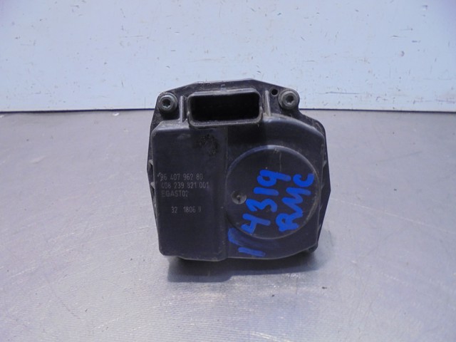 9640796280 Peugeot/Citroen