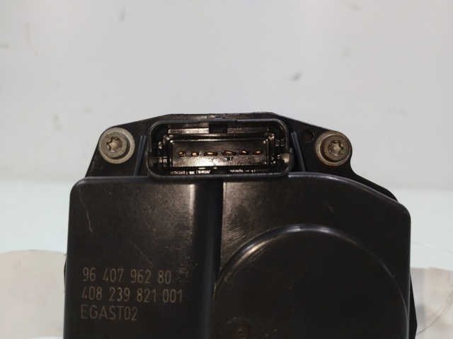 9640796280 Peugeot/Citroen