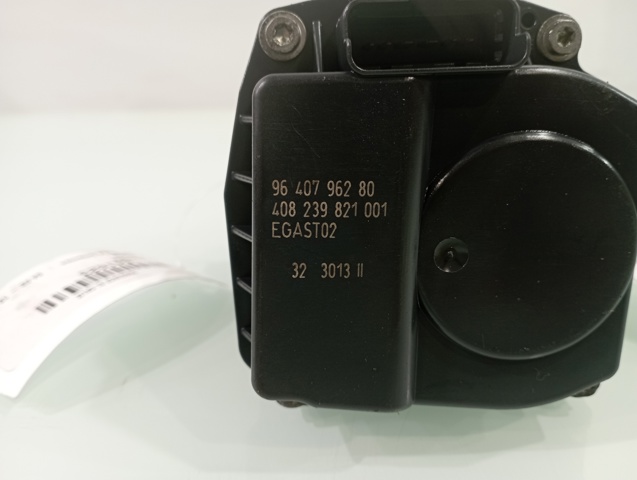 9640796280 Peugeot/Citroen