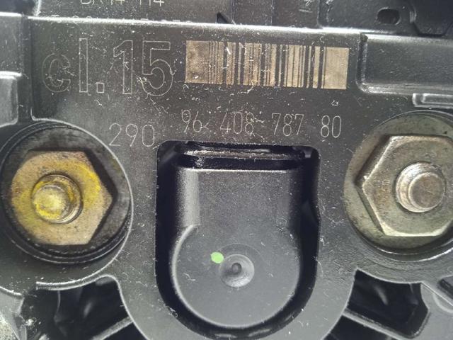 9640878780 Peugeot/Citroen