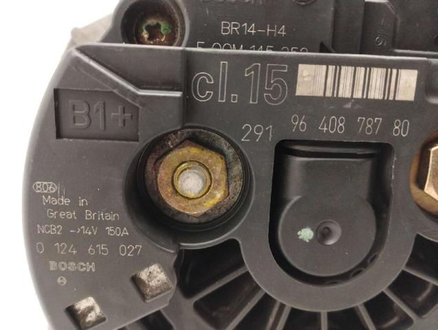 9640878780 Peugeot/Citroen