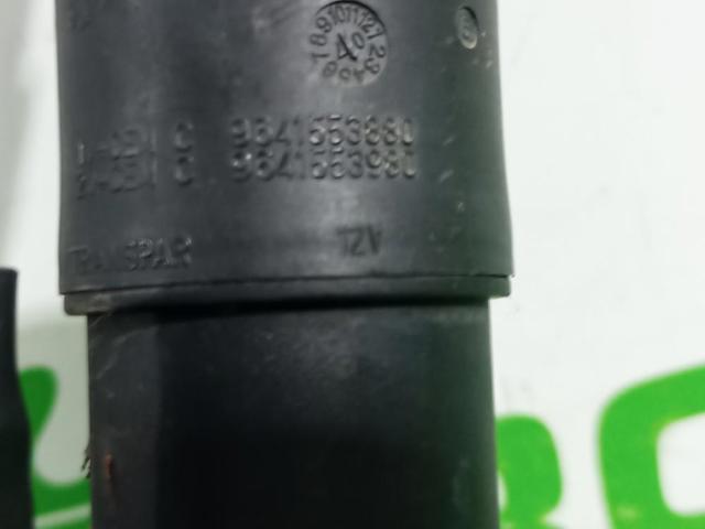 9641553880 Peugeot/Citroen