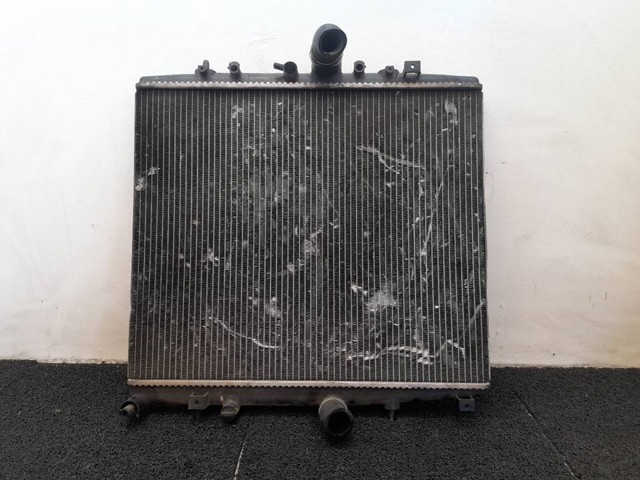 9641728380 Peugeot/Citroen