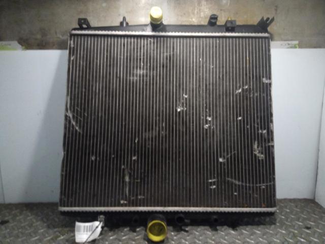 9641728380 Peugeot/Citroen