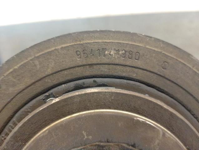 9641741980 Peugeot/Citroen