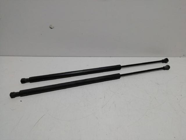 Amortyzator maski Peugeot 607 9D, 9U