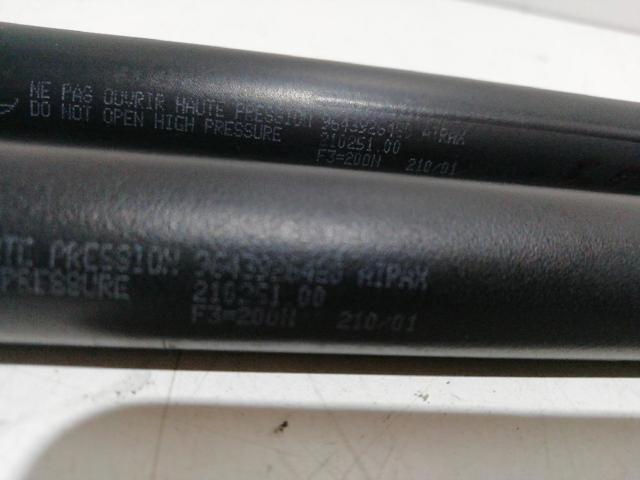 Amortyzator maski Peugeot 607 9D, 9U