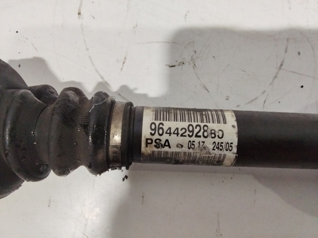 9644292880 Peugeot/Citroen