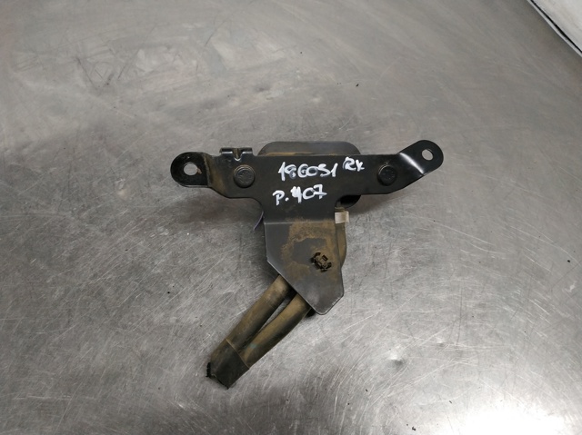 9645022680 Peugeot/Citroen