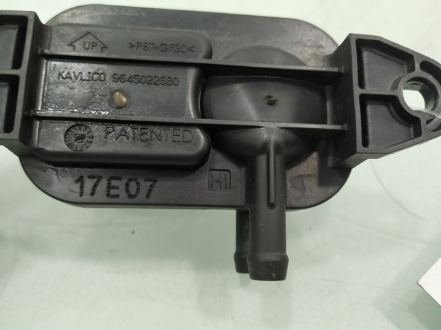 9645022680 Peugeot/Citroen
