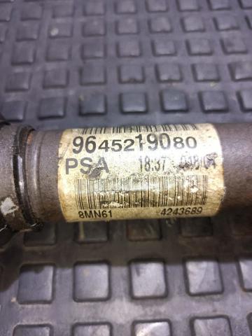 9645219080 Peugeot/Citroen