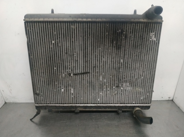 9645658080 Peugeot/Citroen