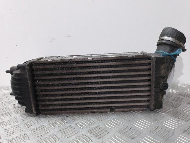 9645658080 Peugeot/Citroen