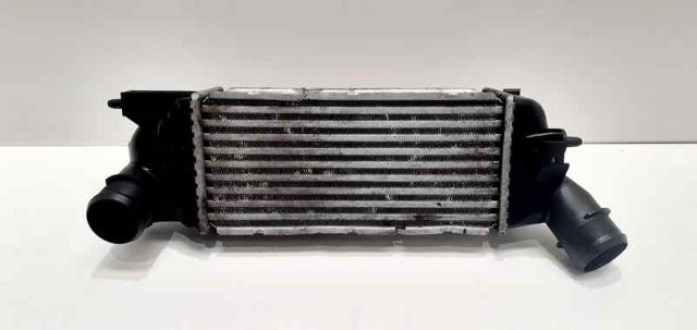 9645682880 Peugeot/Citroen