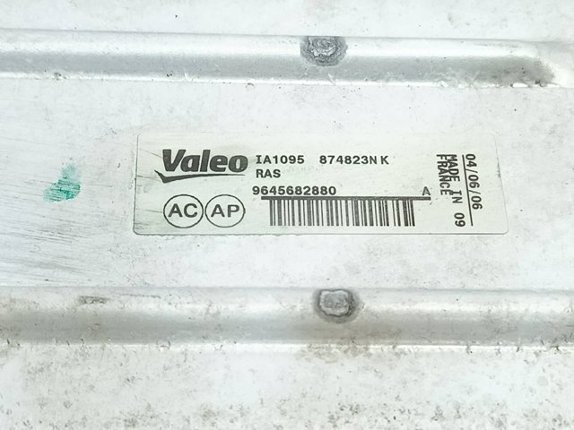 9645682880 Peugeot/Citroen