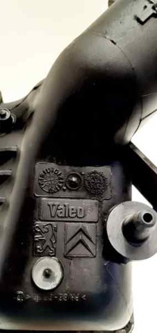 9645682880 Peugeot/Citroen