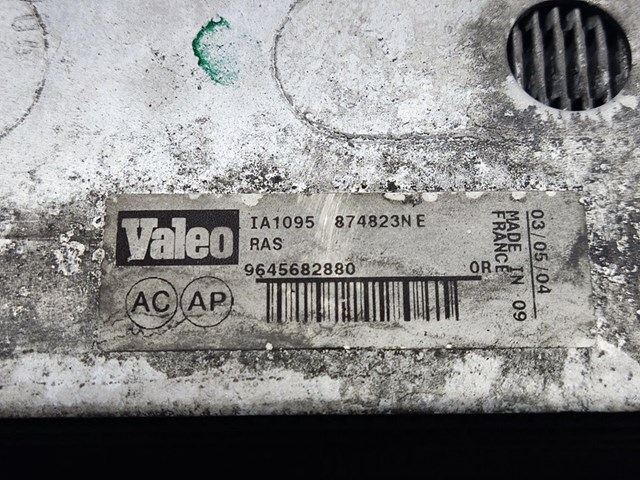 9645682880 Peugeot/Citroen