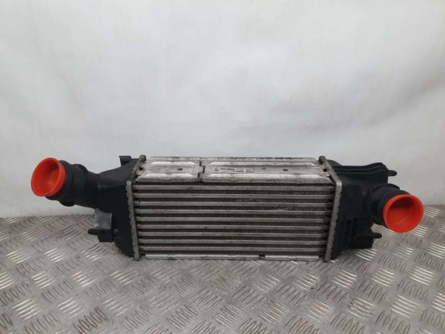 9645682880 Peugeot/Citroen